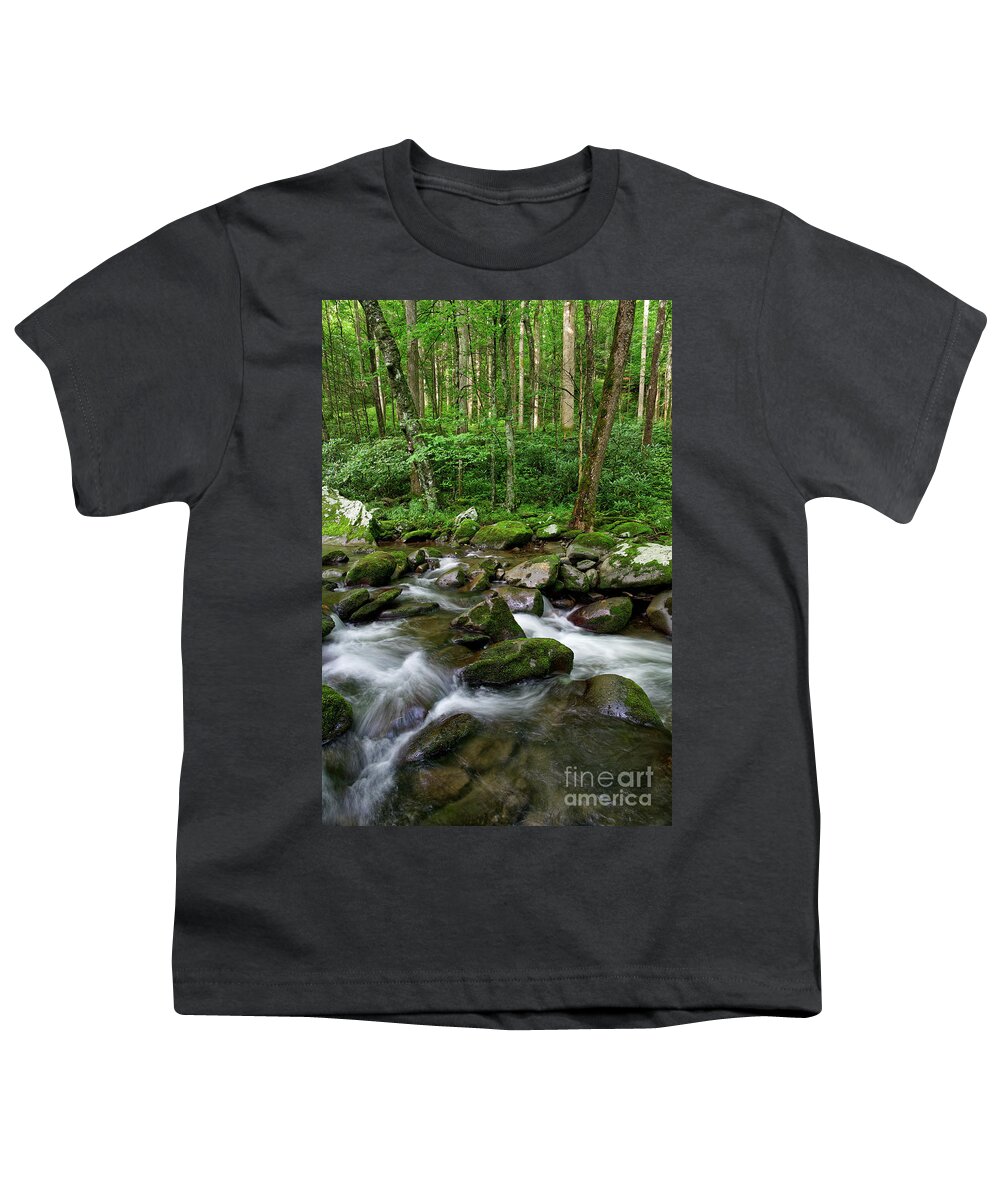 Smoky Mountains Youth T-Shirt featuring the photograph Thunderhead Prong 6 by Phil Perkins