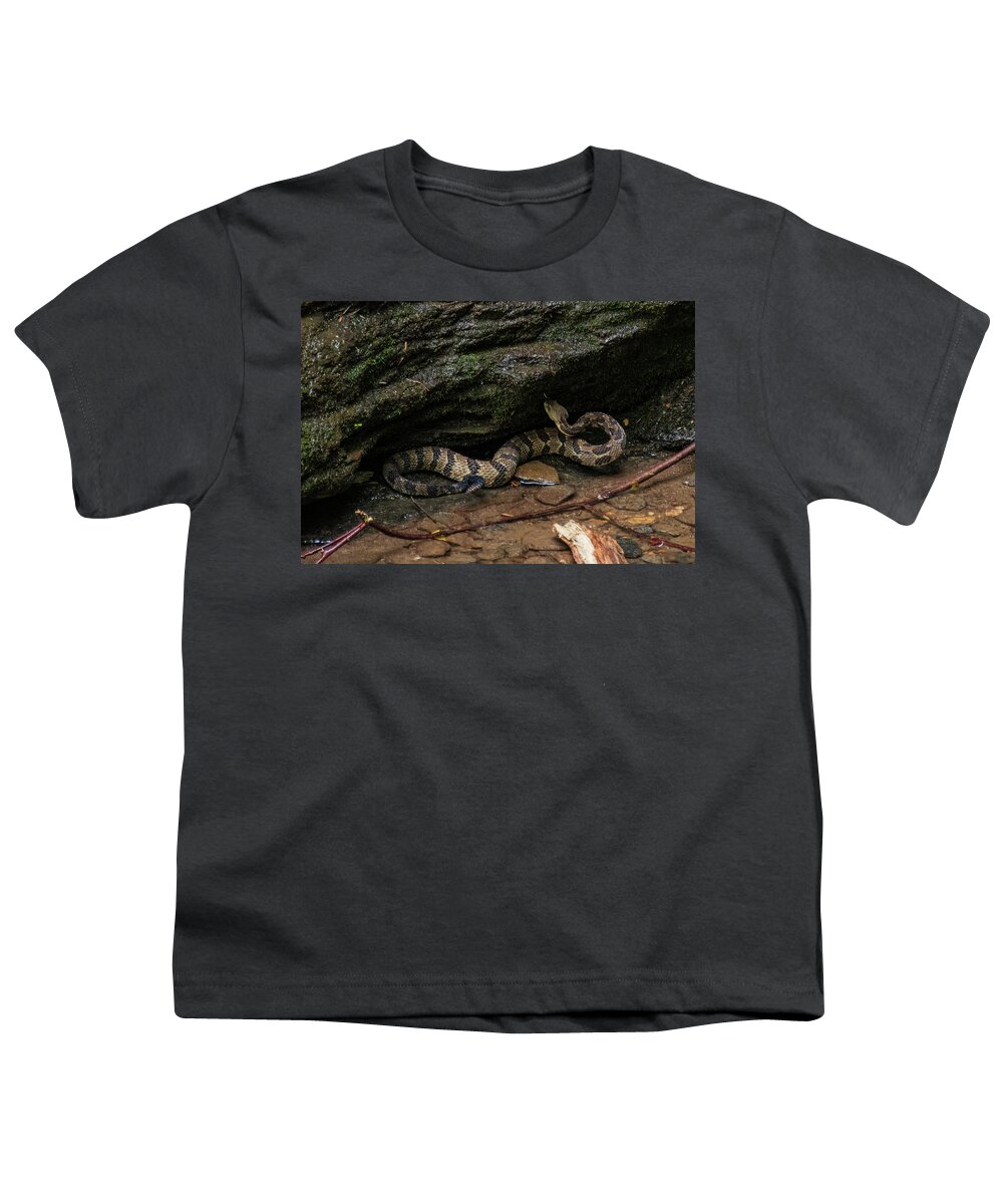 Brevard Youth T-Shirt featuring the photograph Timber Rattler by Melissa Southern