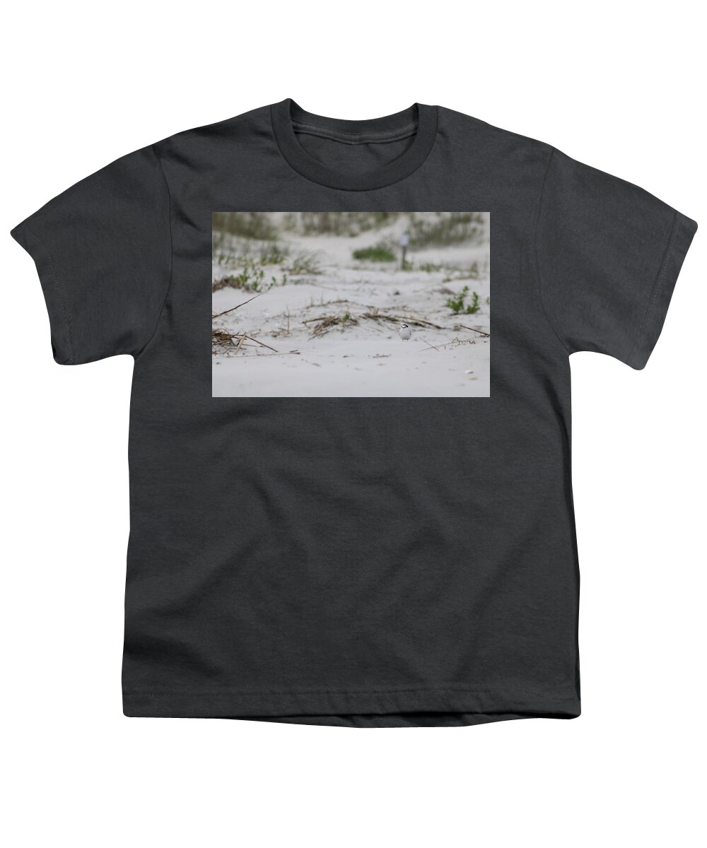  Youth T-Shirt featuring the photograph Tiny Tern by Heather E Harman