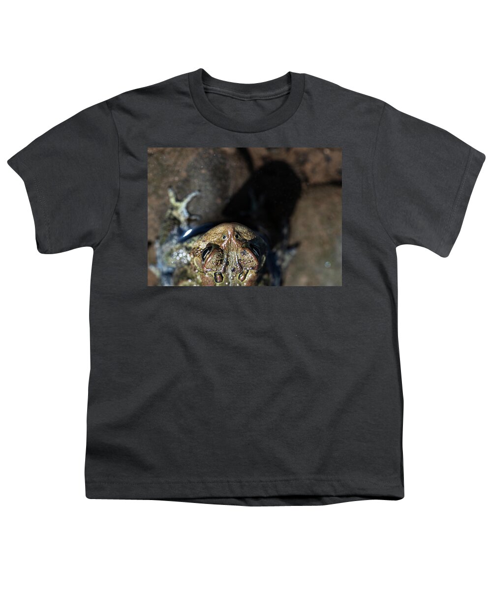 Toad Youth T-Shirt featuring the photograph Toad On The Beach by Amelia Pearn