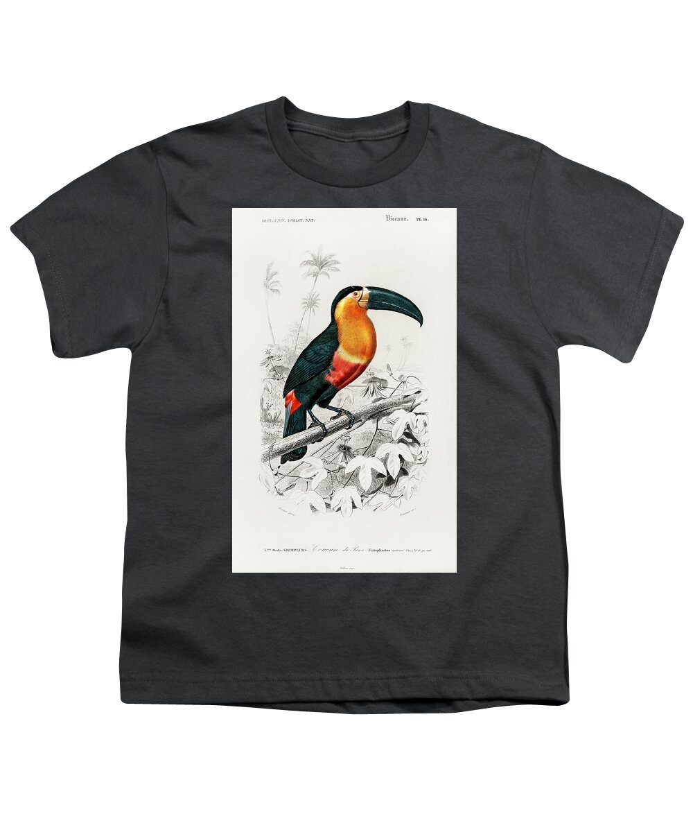 Toucan Youth T-Shirt featuring the mixed media Toucan by World Art Collective