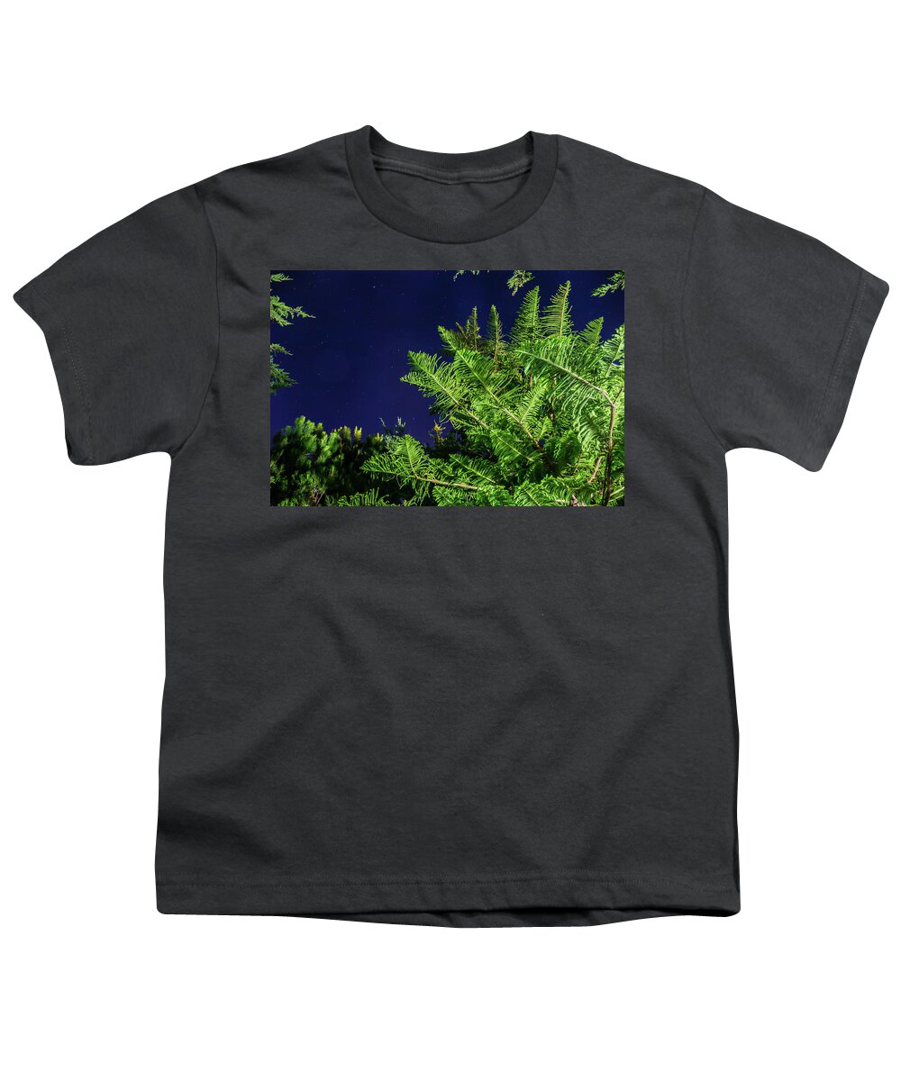 Night Sky Stars Youth T-Shirt featuring the photograph Trees with starry sky by Fabiano Di Paolo