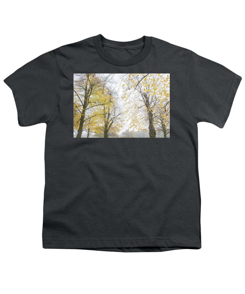 Trent Park Youth T-Shirt featuring the photograph Trent Park Trees Fall 14 by Edmund Peston