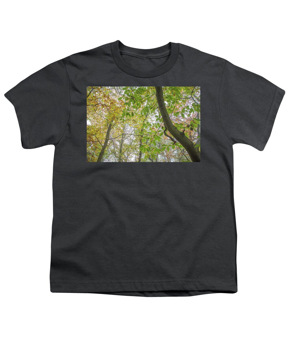 Trent Park Youth T-Shirt featuring the photograph Trent Park Trees Fall 7 by Edmund Peston