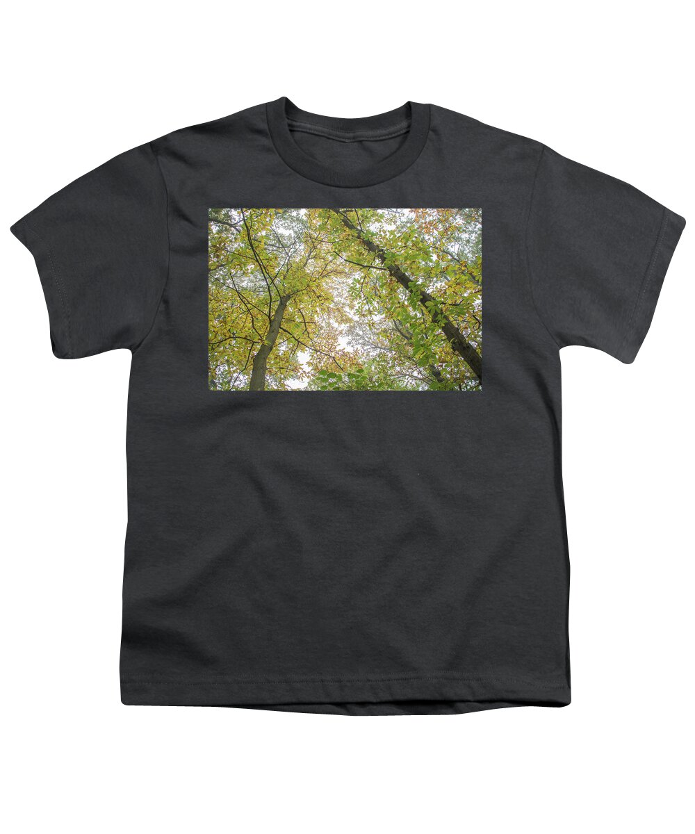 Trent Park Youth T-Shirt featuring the photograph Trent Park Trees Fall 8 by Edmund Peston