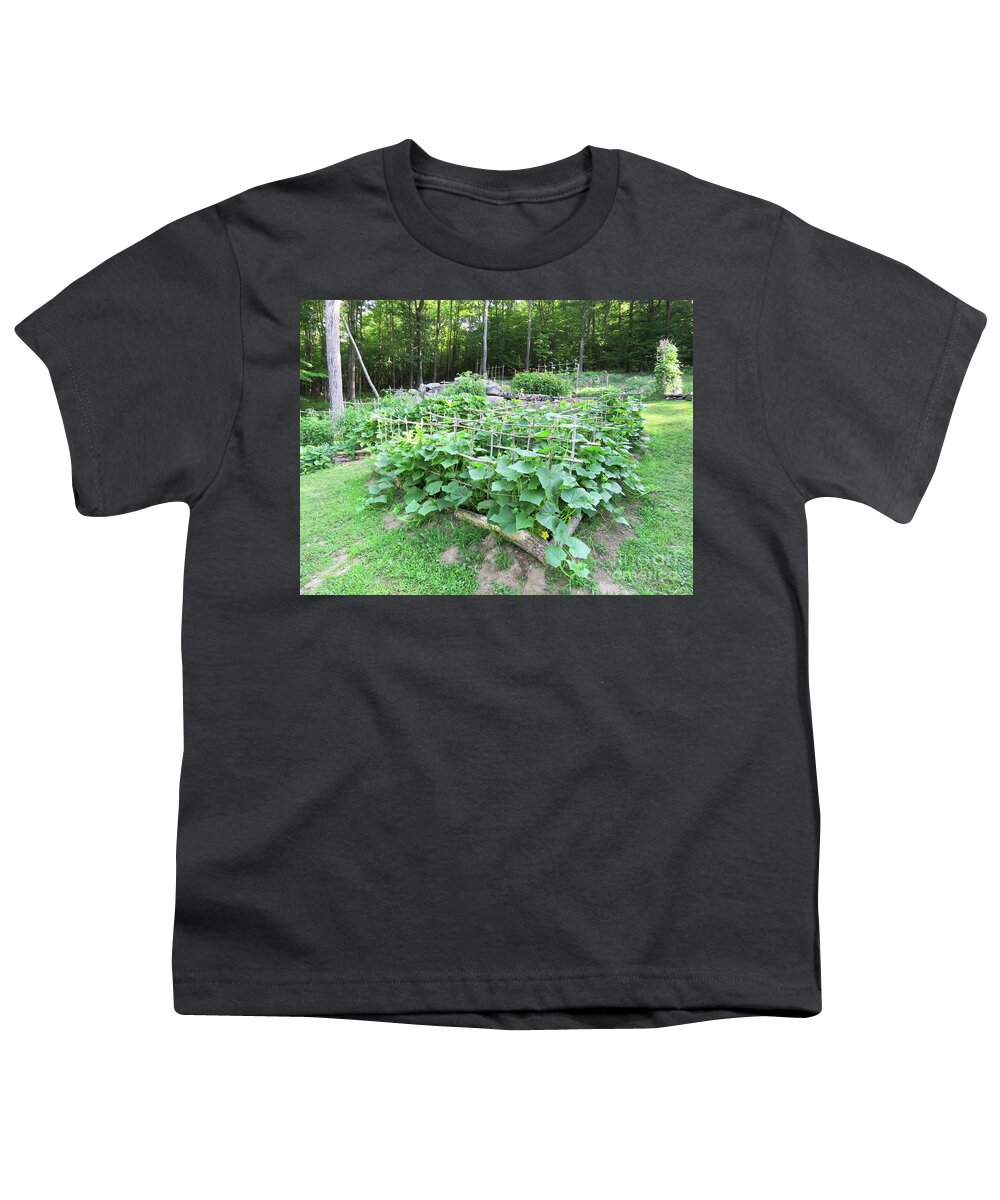 Vegetable Garden Youth T-Shirt featuring the photograph Triangle Cucumber Garden. Late July Overview. The Victory Garden Collection. by Amy E Fraser