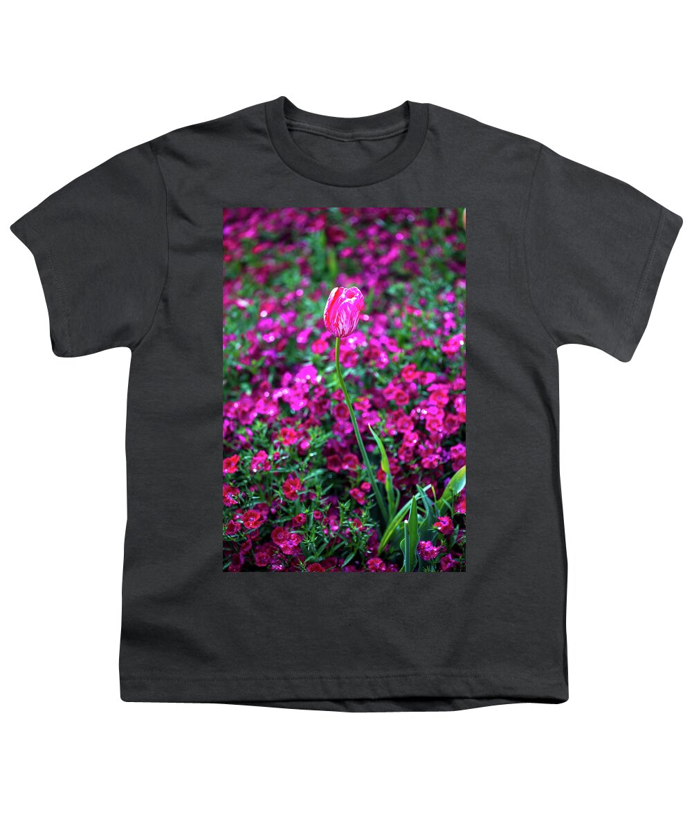 Pink Tulip Flowers Youth T-Shirt featuring the photograph Tulip Tower by Az Jackson