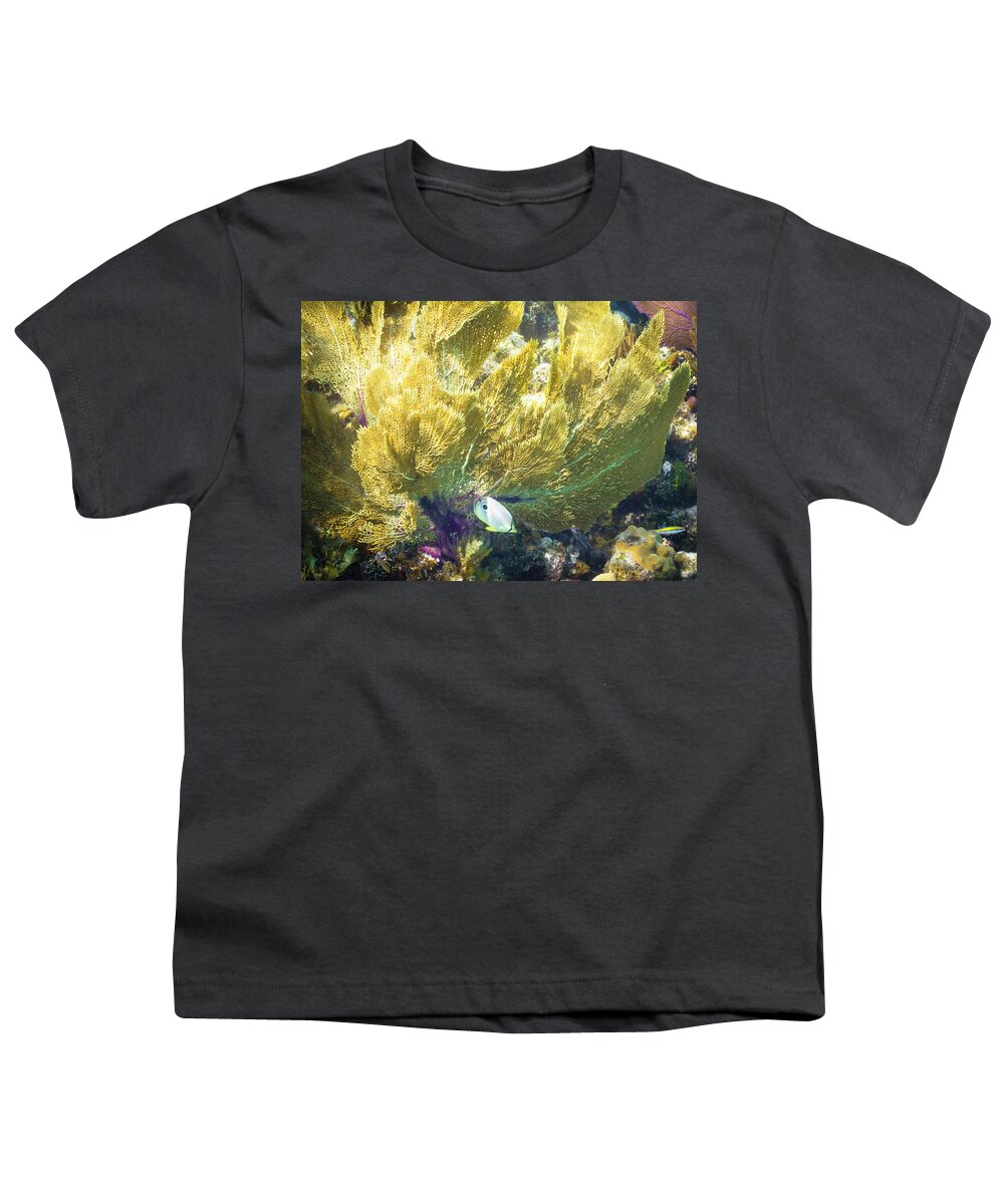 Ocean Youth T-Shirt featuring the photograph Undercover by Lynne Browne