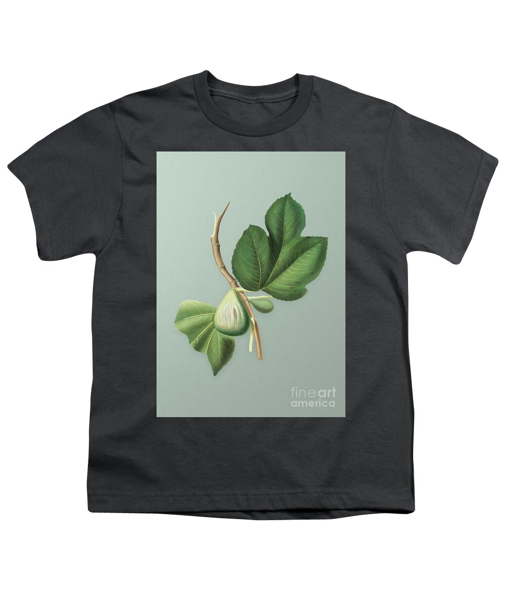Vintage Youth T-Shirt featuring the mixed media Vintage Fig Botanical Art on Mint Green n.0178 by Holy Rock Design