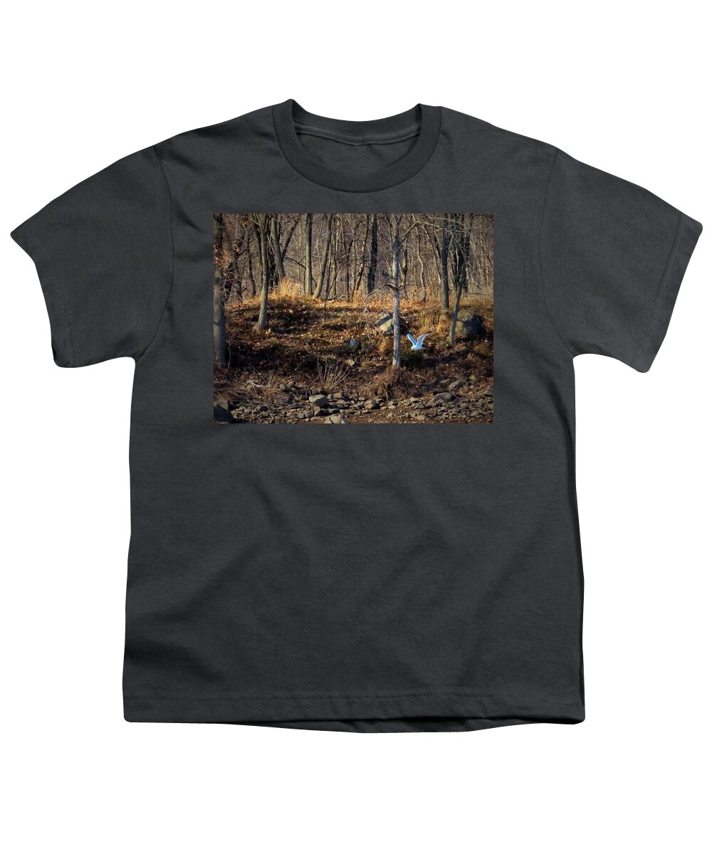 Woods Youth T-Shirt featuring the photograph Visitor in the Woods by Linda Stern