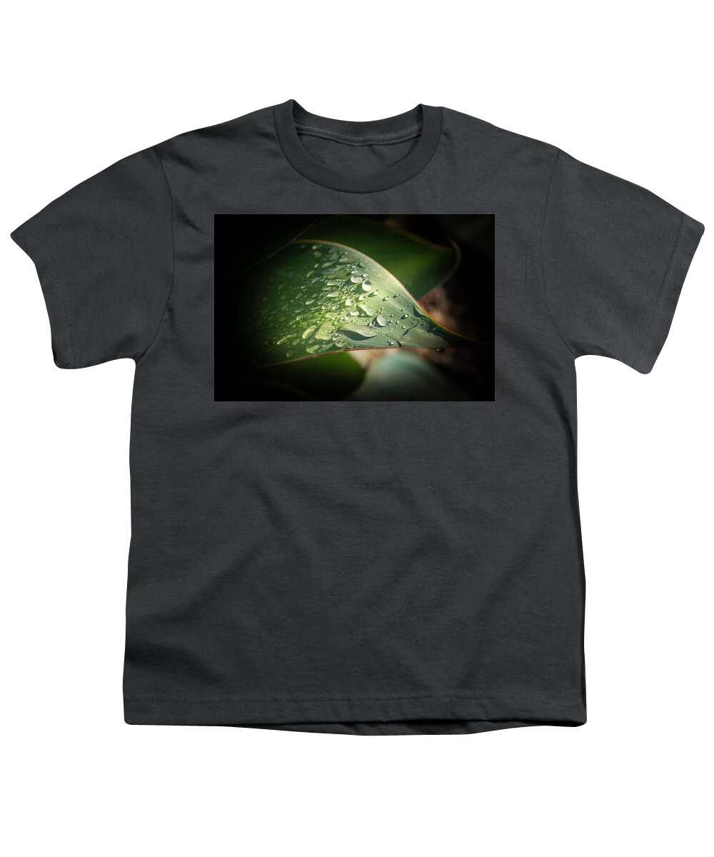 Water Drops Youth T-Shirt featuring the photograph Water Drops in the Light by Alison Frank