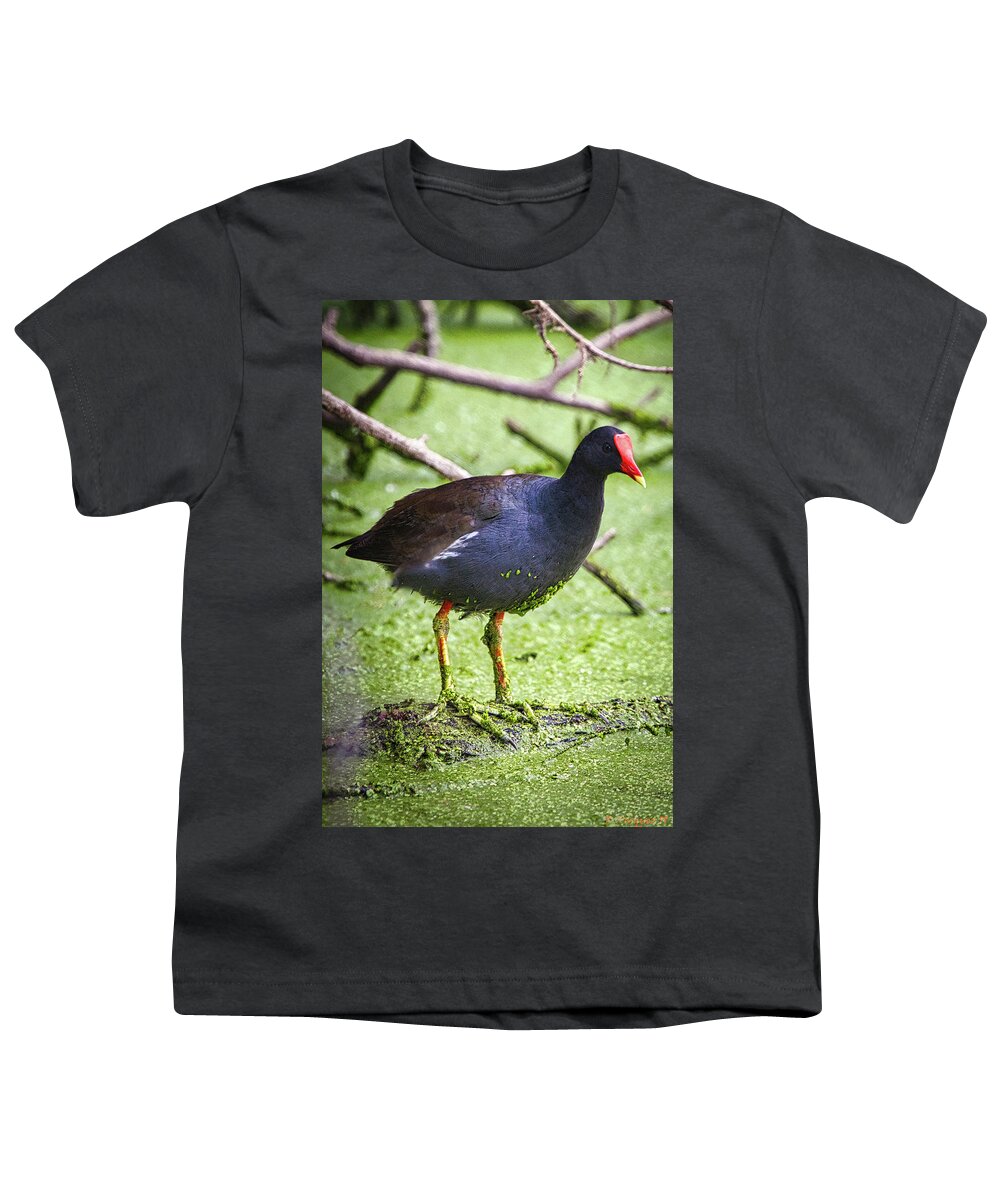 Bird Youth T-Shirt featuring the photograph Water Foul by Rene Vasquez