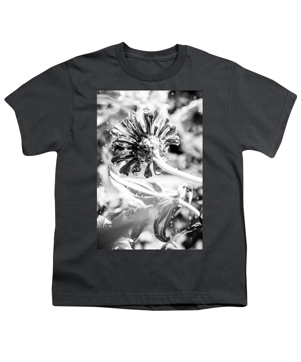 Zinnia Elegans Youth T-Shirt featuring the photograph Watered Flower by W Craig Photography