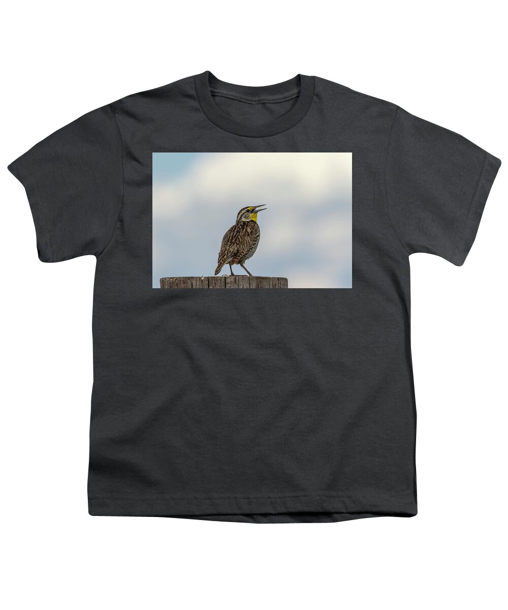 Western Meadowlark Youth T-Shirt featuring the photograph Western Meadowlark 2014 by Thomas Young