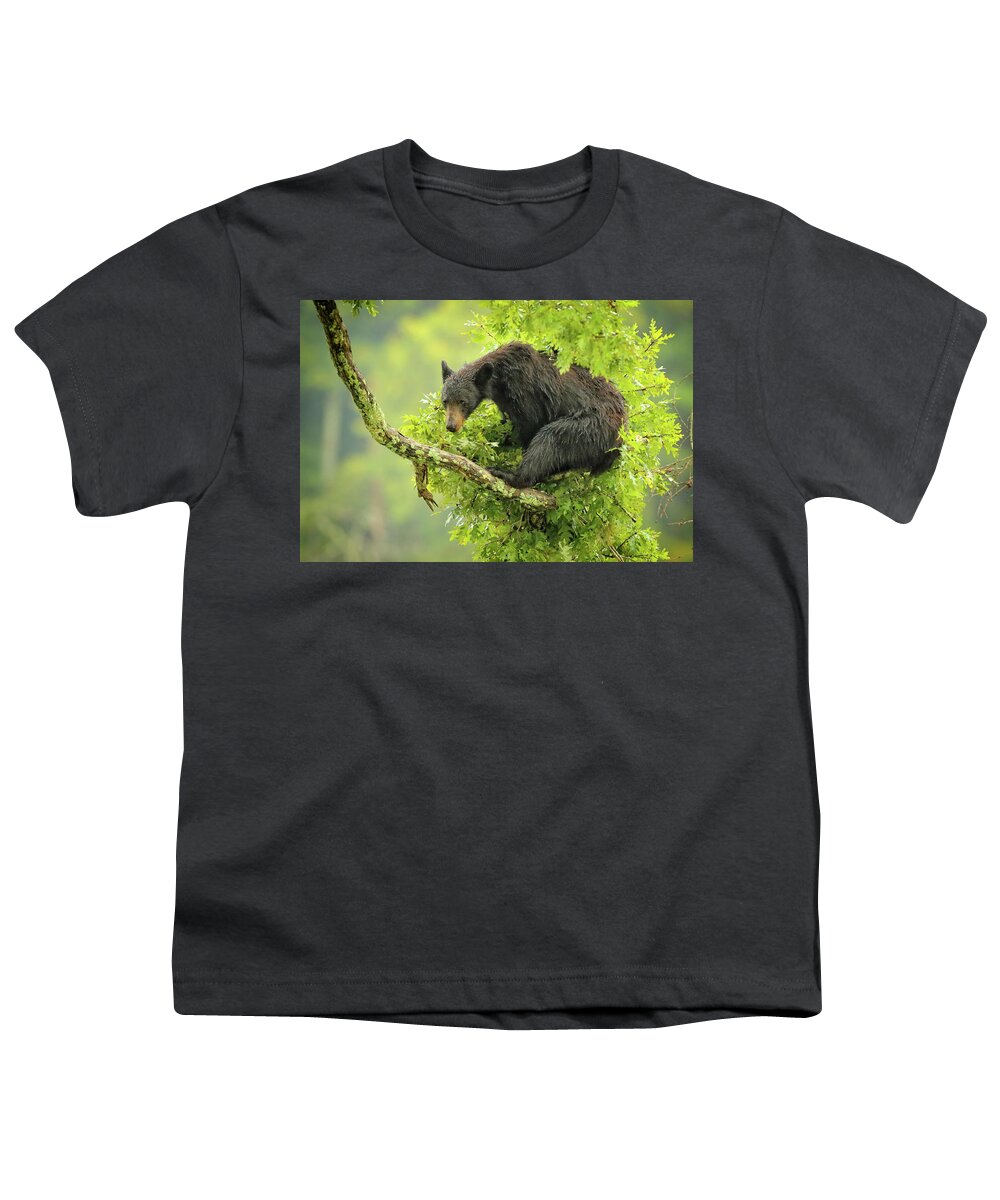 American Black Bear Youth T-Shirt featuring the photograph Wet bear in tree by Coby Cooper