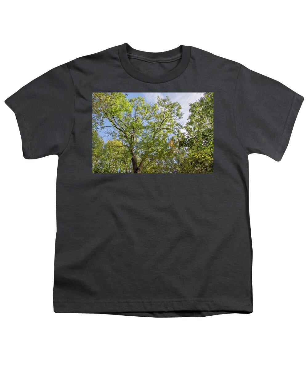 Whetstone Stray Youth T-Shirt featuring the photograph Whetstone Stray Trees Fall 11 by Edmund Peston