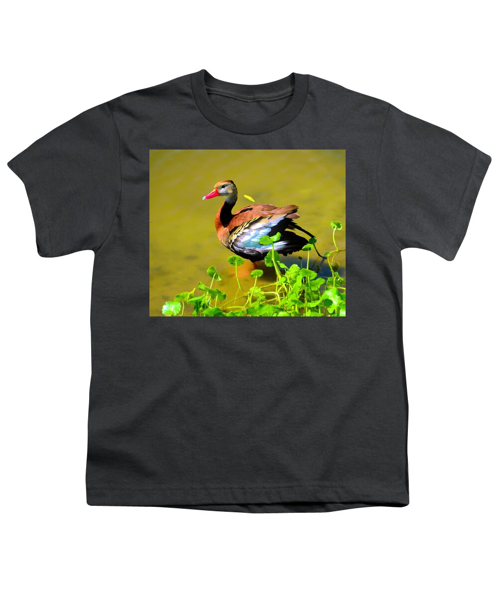 Duck Youth T-Shirt featuring the photograph Whistling by Alison Belsan Horton