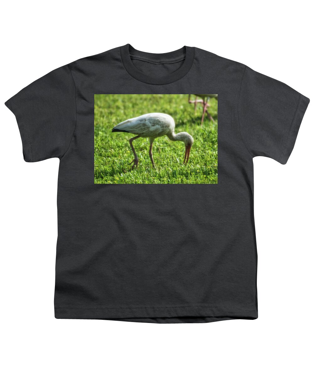 Bird Youth T-Shirt featuring the photograph White Ibis Feeding Time by Portia Olaughlin