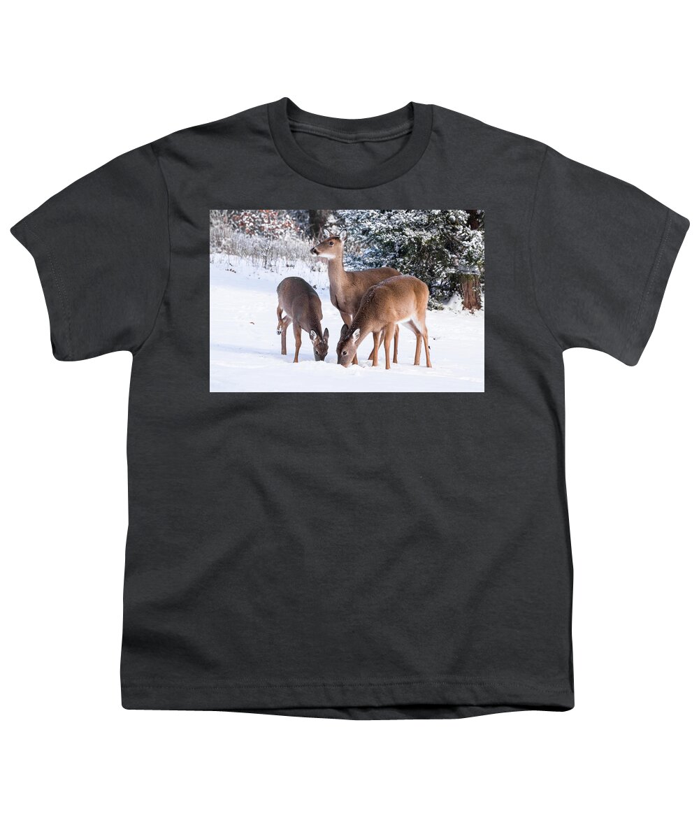 White-tailed Deer Youth T-Shirt featuring the photograph White-tailed Deer - 8855 by Jerry Owens