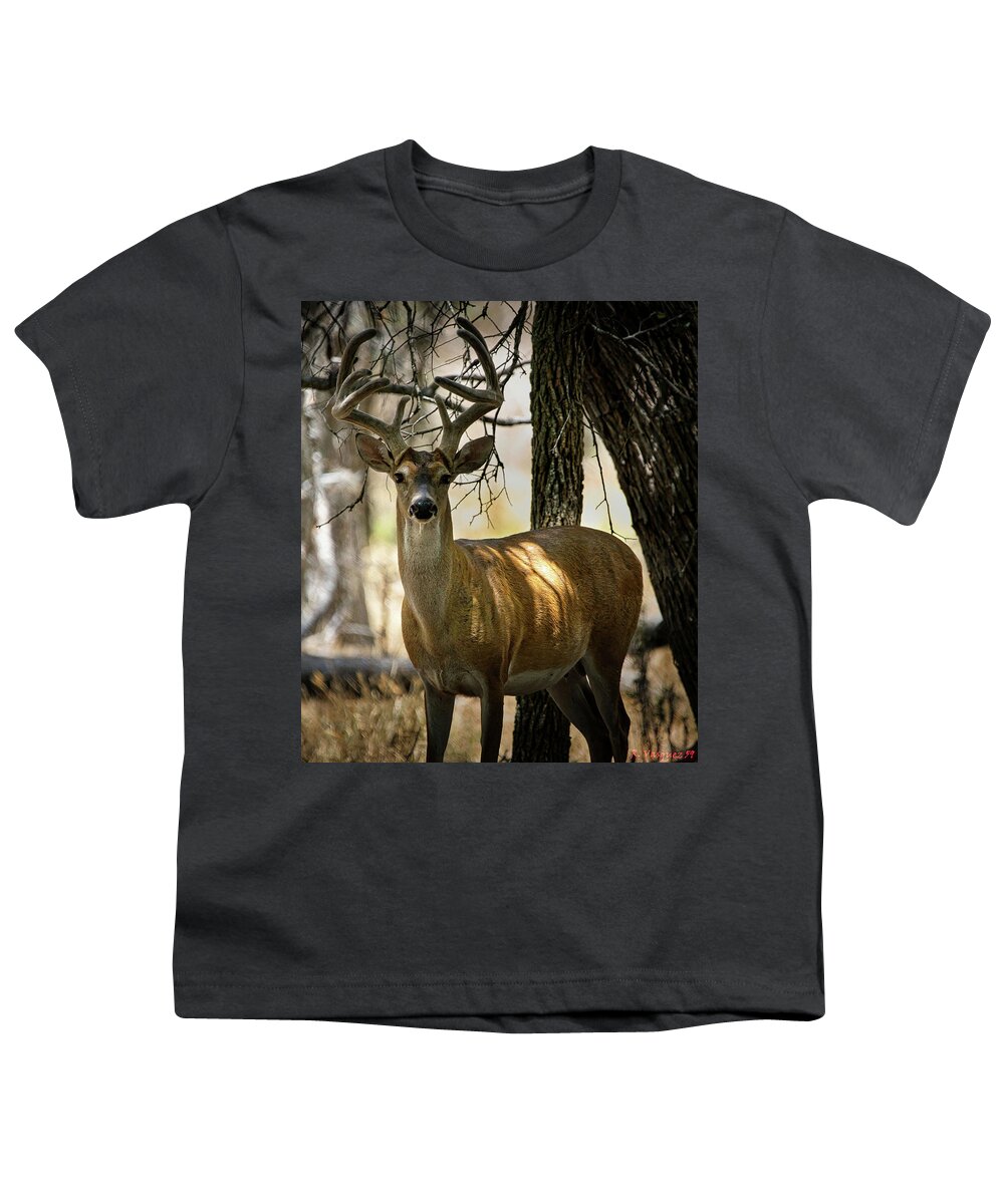 Whitetail Youth T-Shirt featuring the photograph Whitetail Buck Stare by Rene Vasquez