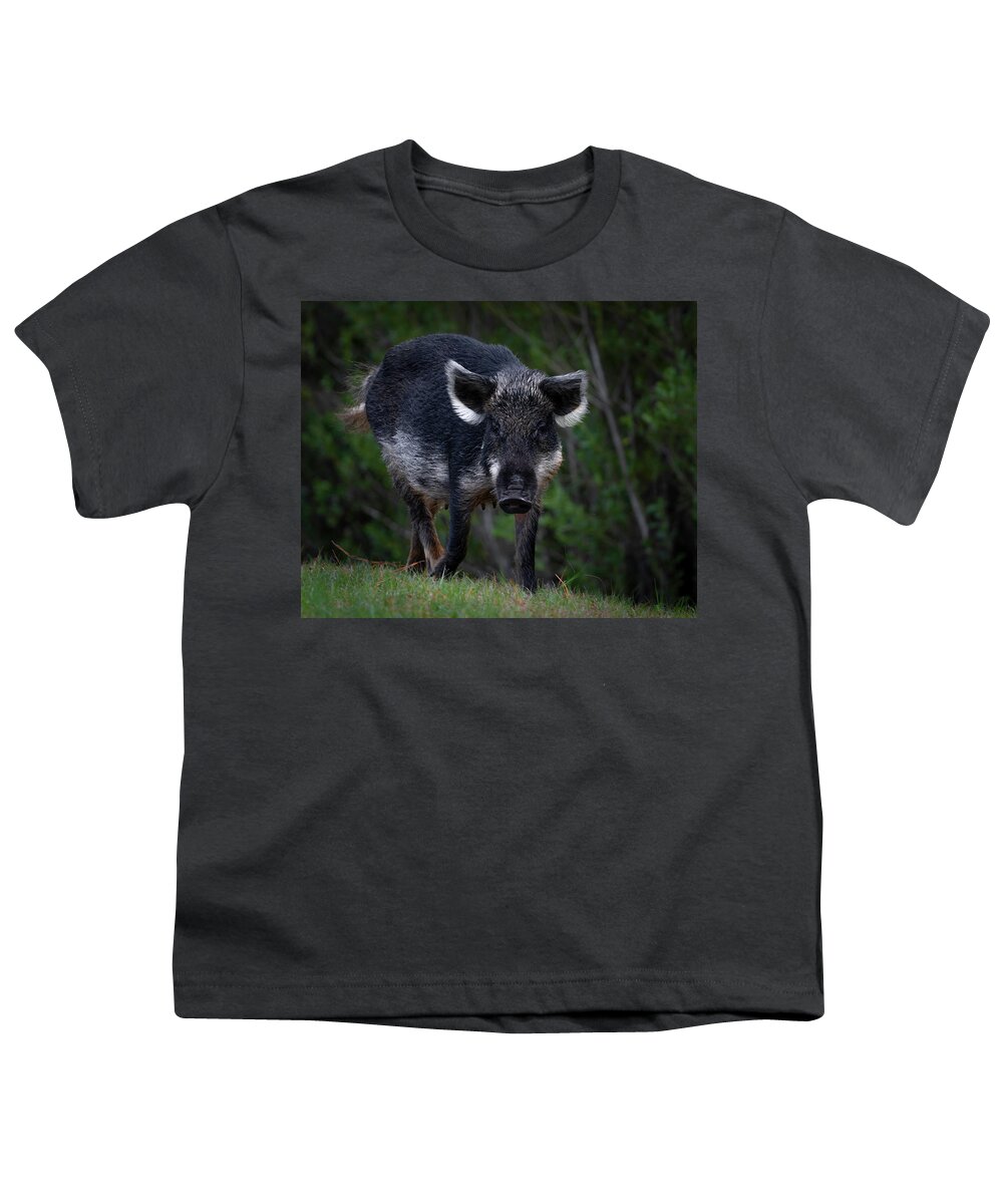 Hog Youth T-Shirt featuring the photograph Wild Boar by Larry Marshall
