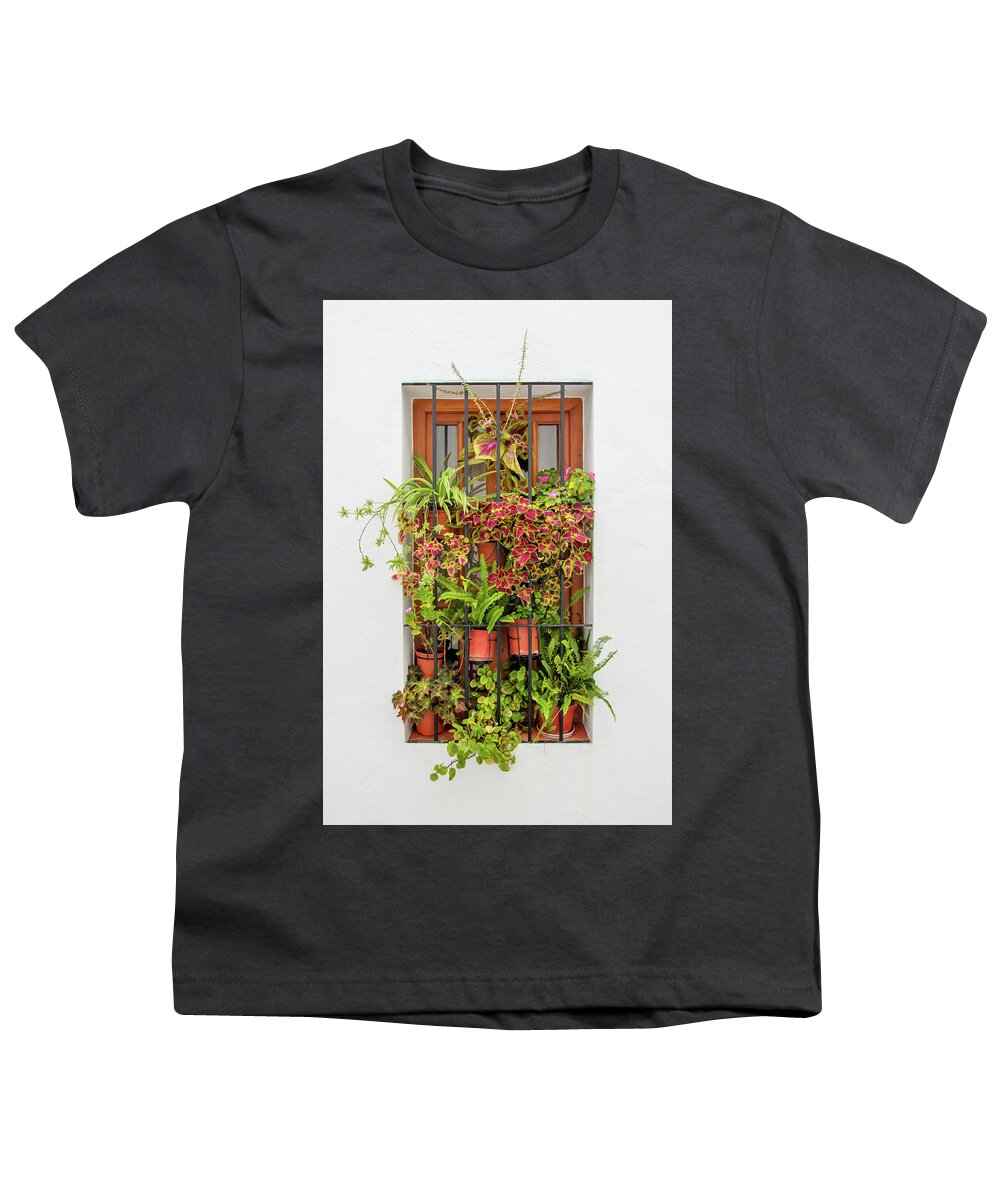 Spain Youth T-Shirt featuring the digital art Window plants painted photo by Naomi Maya