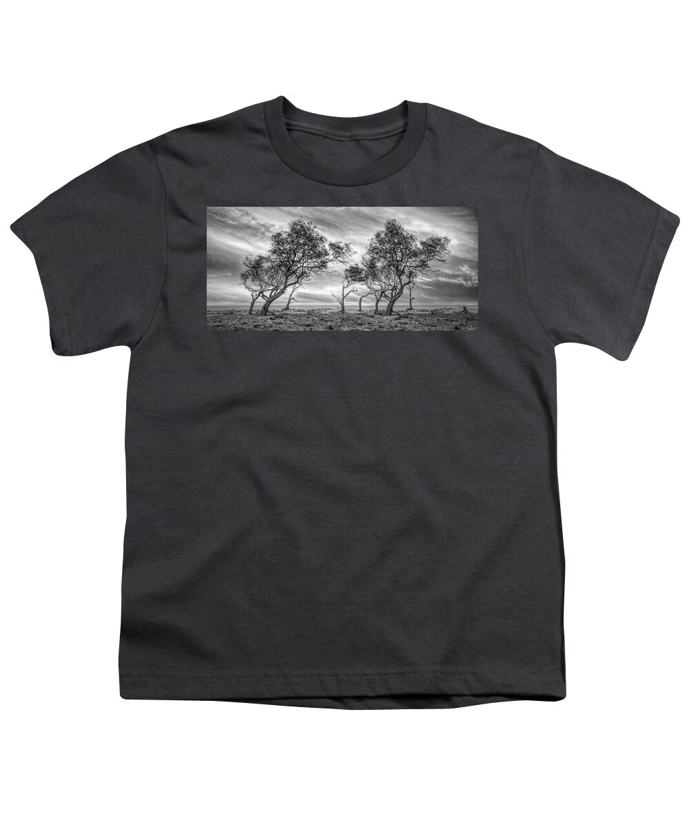 Clouds Youth T-Shirt featuring the photograph Windswept Trees on Jekyll Island Black and White by Debra and Dave Vanderlaan
