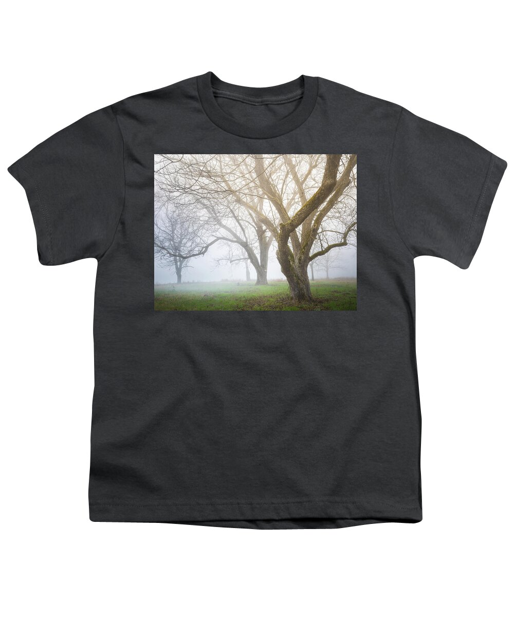Trees Youth T-Shirt featuring the photograph Winter Woodland In Fog by Jordan Hill