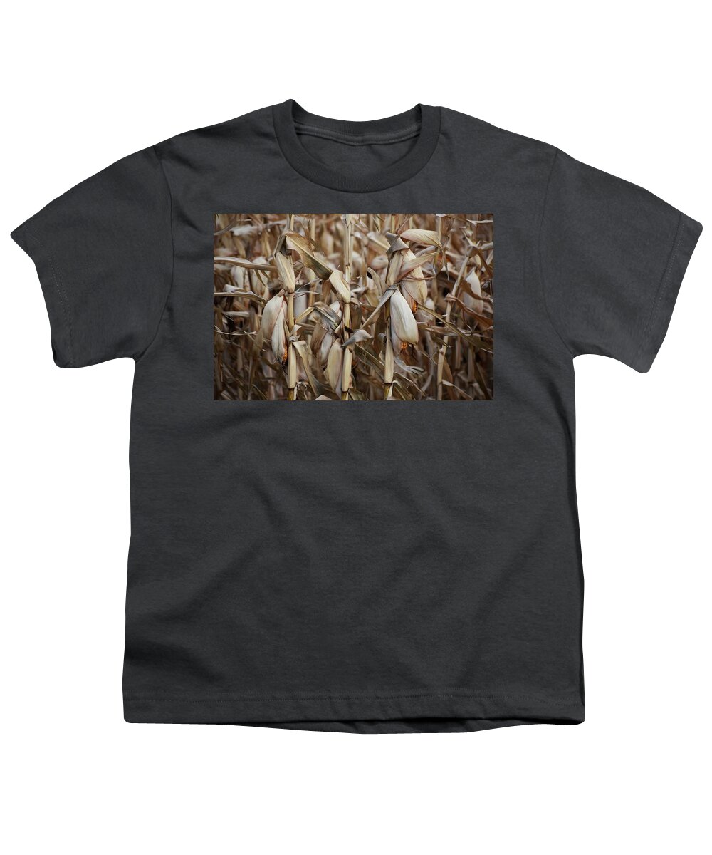 Corn Cob Youth T-Shirt featuring the photograph Winter's Bounty by Alden White Ballard