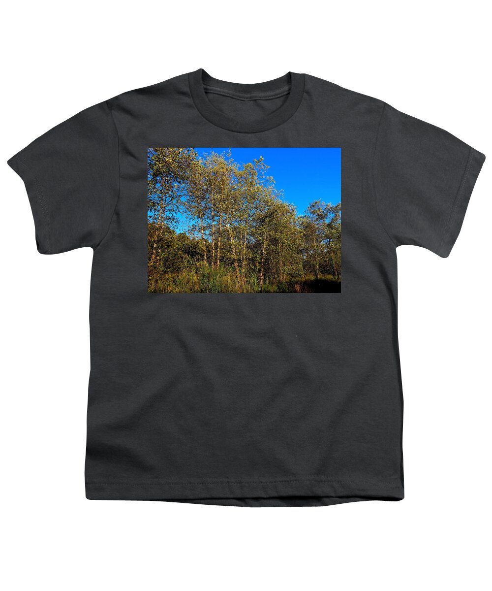 Trees Youth T-Shirt featuring the photograph Woodlands at Palmyra Nature Cove by Linda Stern