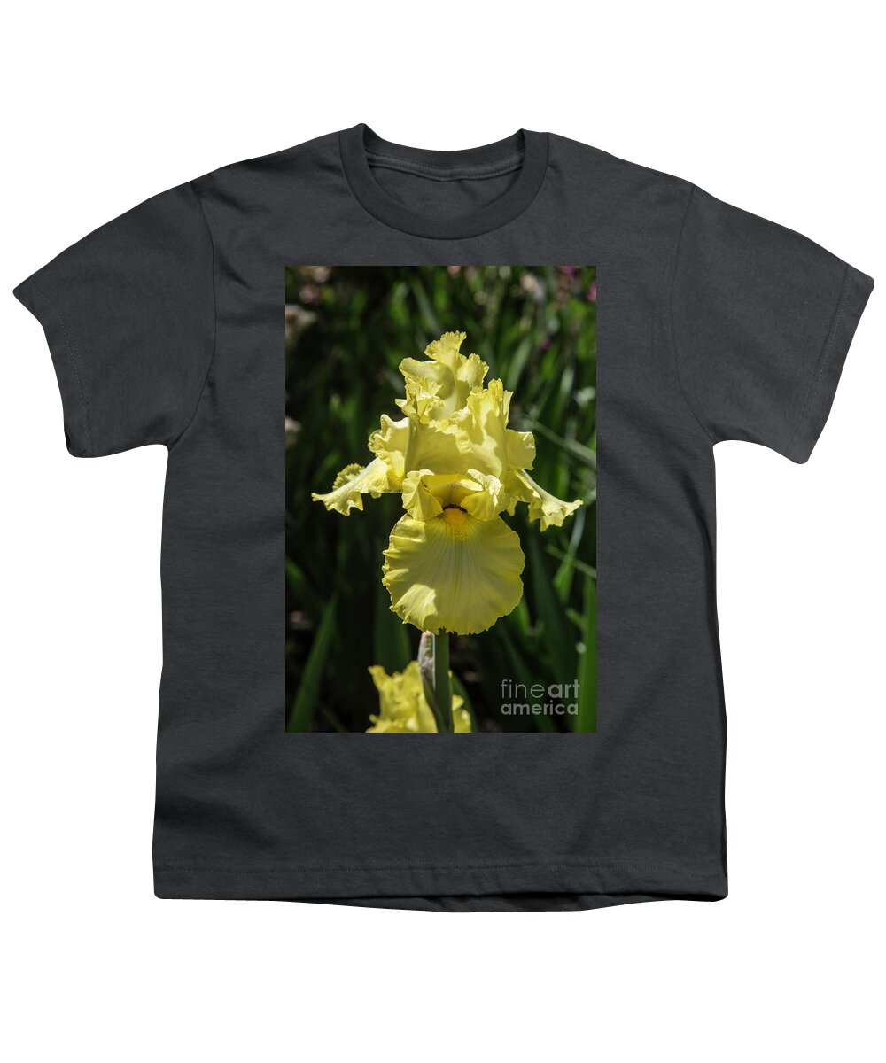 Arboretum; Flowers; Yellow; Green; Plants; Iris; Youth T-Shirt featuring the photograph Yellow on Yellow by Kathy McClure