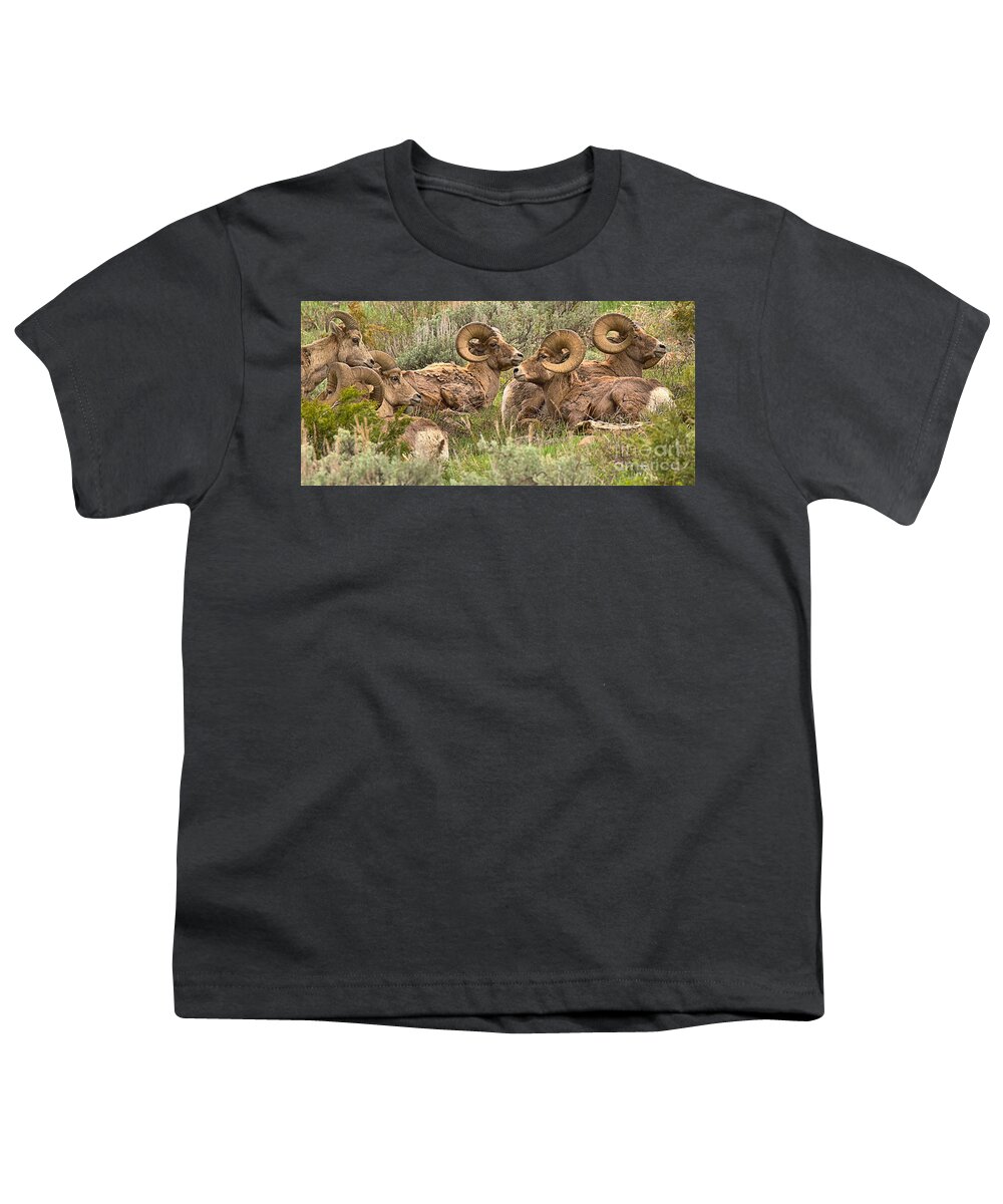 Bighorn Youth T-Shirt featuring the photograph Yellowstone Meeting Of The Horns Crop by Adam Jewell