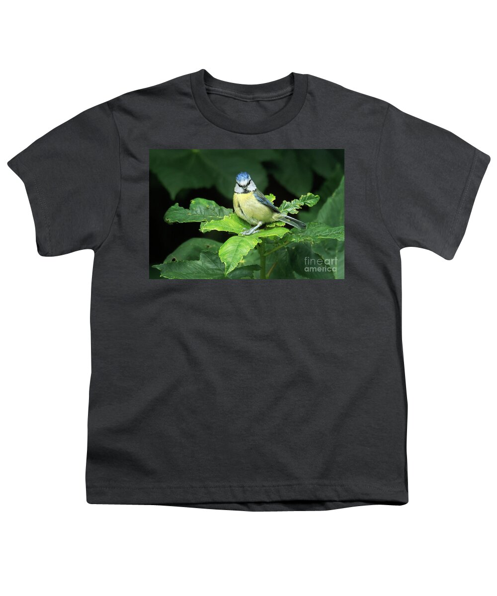 Blue Tit Youth T-Shirt featuring the photograph You Lookin' At Me? by Terri Waters