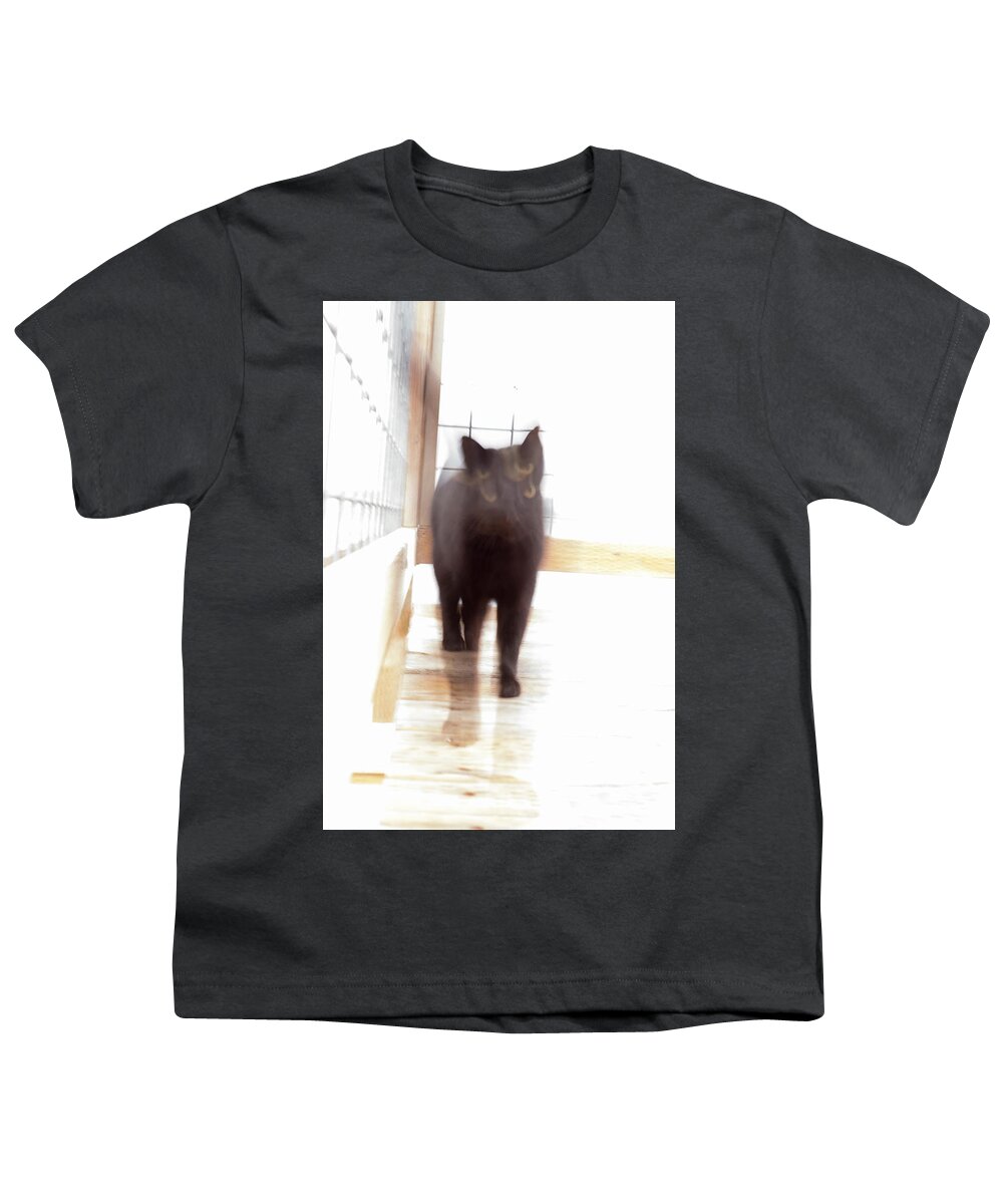 Animal Youth T-Shirt featuring the photograph Your Cat on Drugs by Mary Lee Dereske