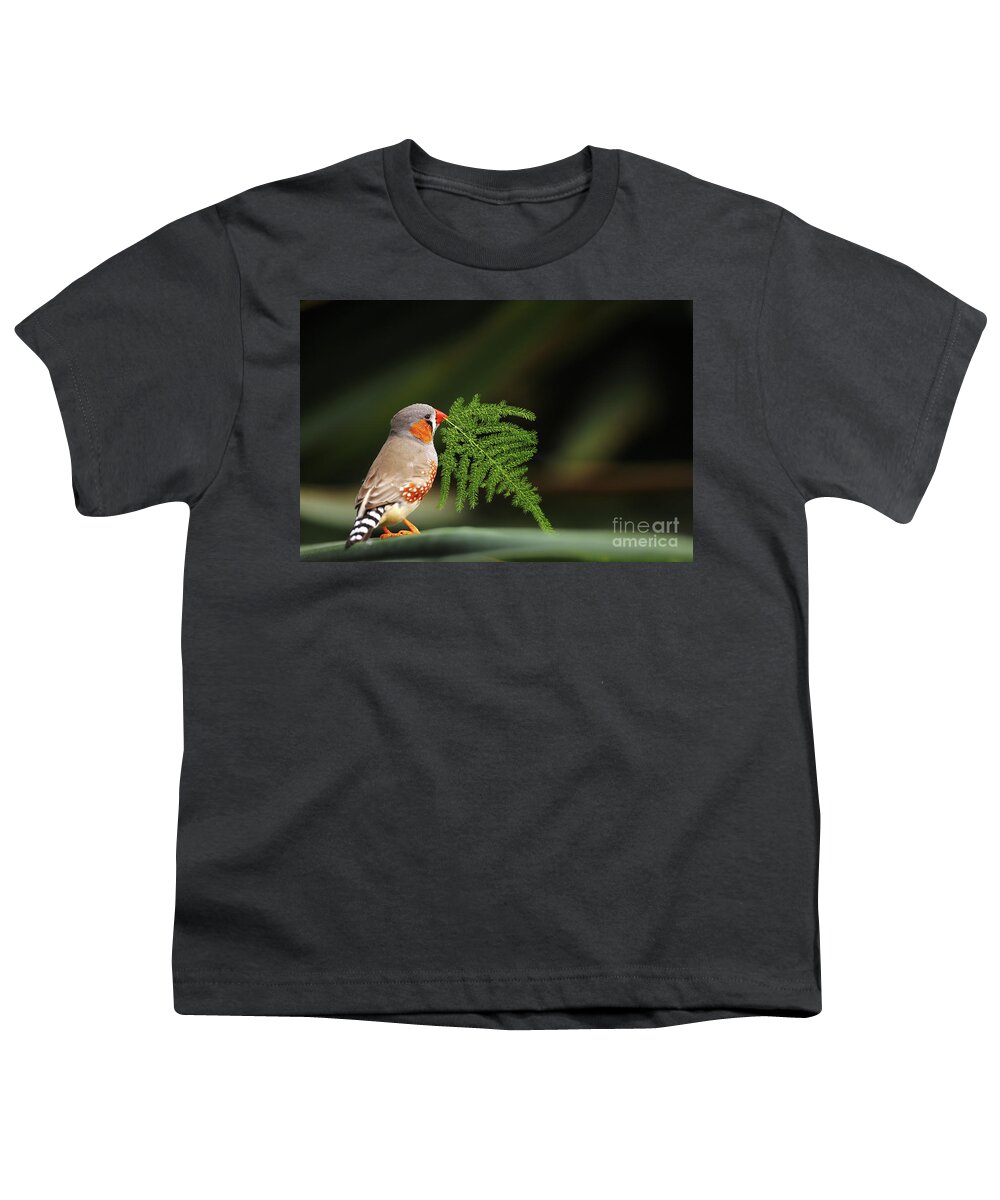 Zebra Youth T-Shirt featuring the photograph Zebra finch by Frederic Bourrigaud