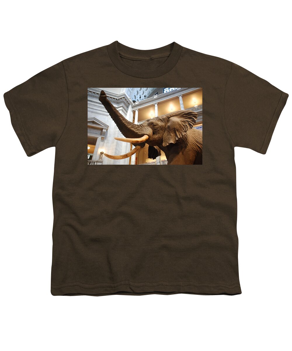 Bull Elephant Youth T-Shirt featuring the photograph Bull Elephant in Natural History Rotunda #7 by Kenny Glover