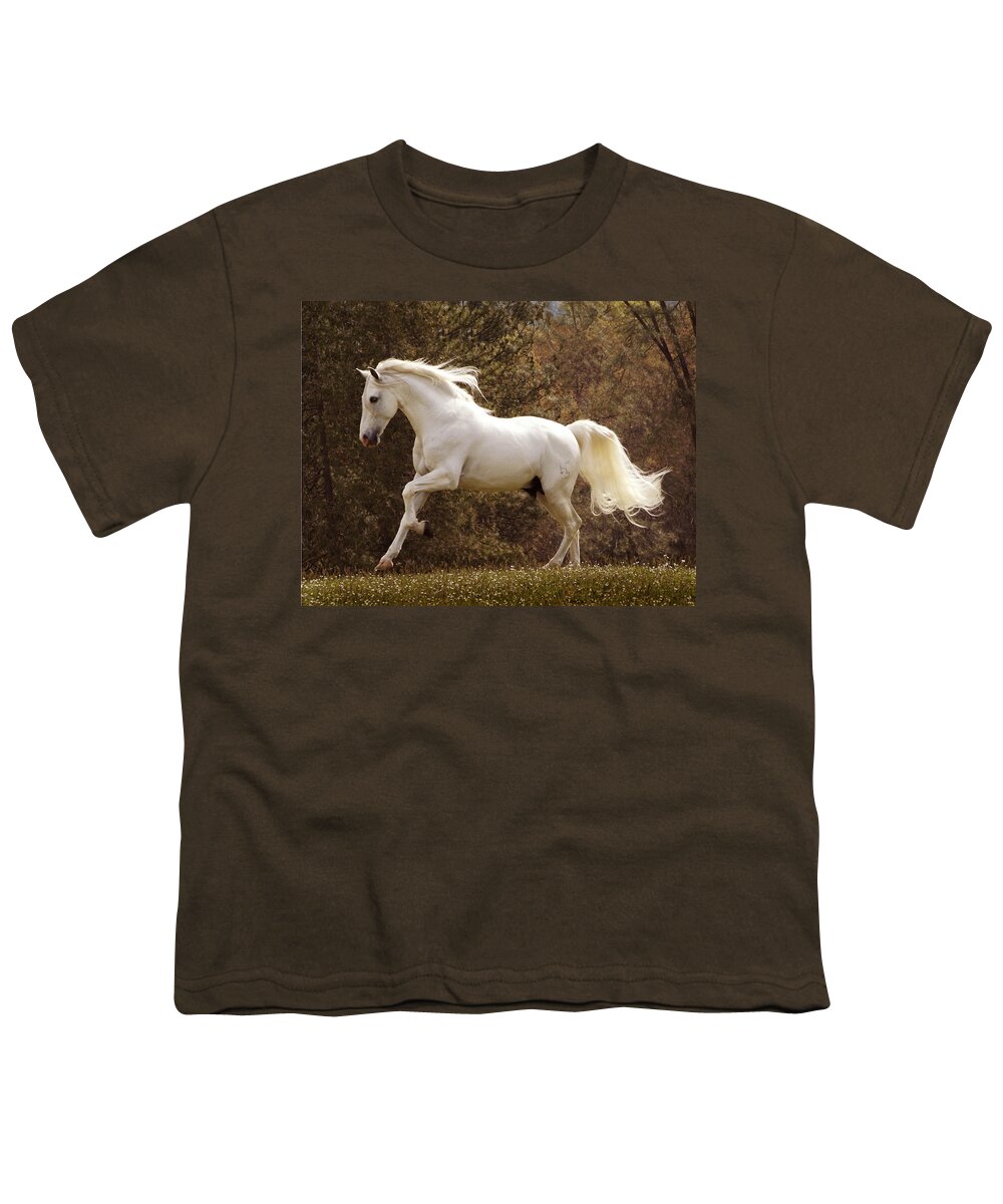 Spirited Stallion Youth T-Shirt featuring the photograph Dream Horse #1 by Melinda Hughes-Berland