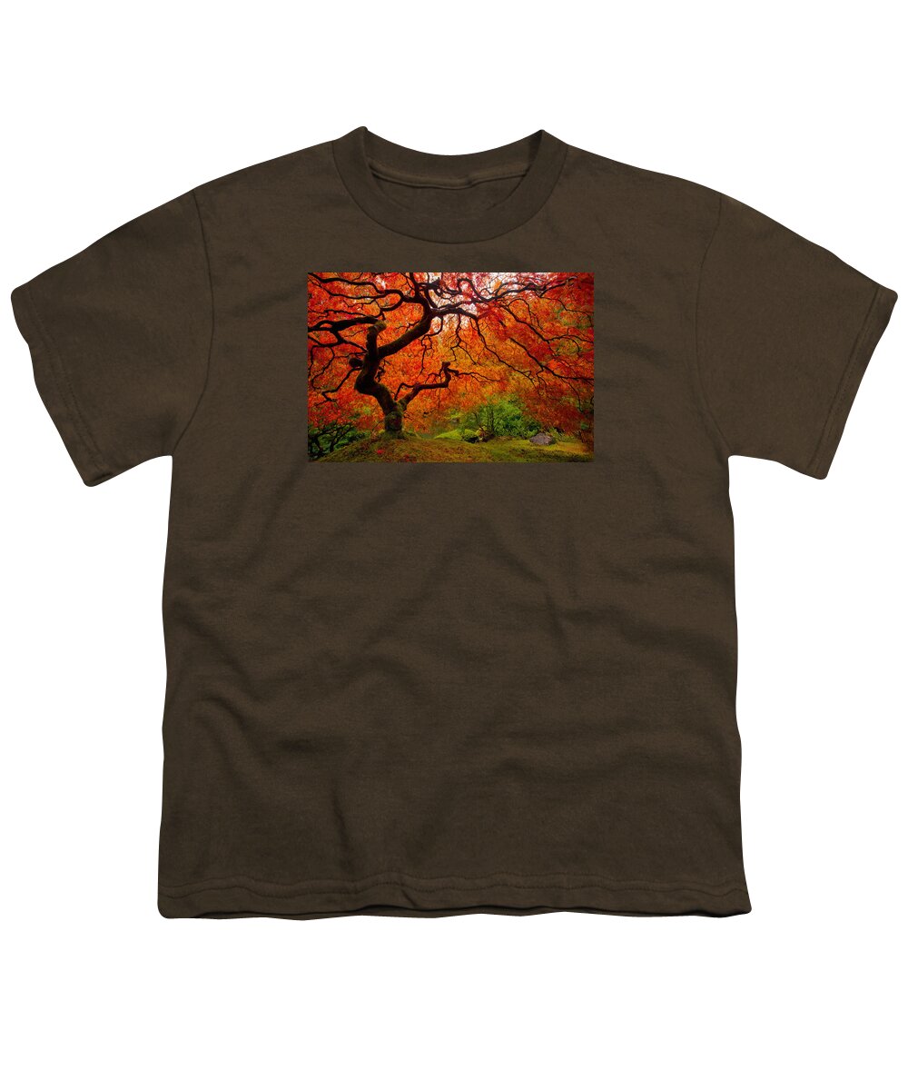 Autumn Youth T-Shirt featuring the photograph Tree Fire #2 by Darren White