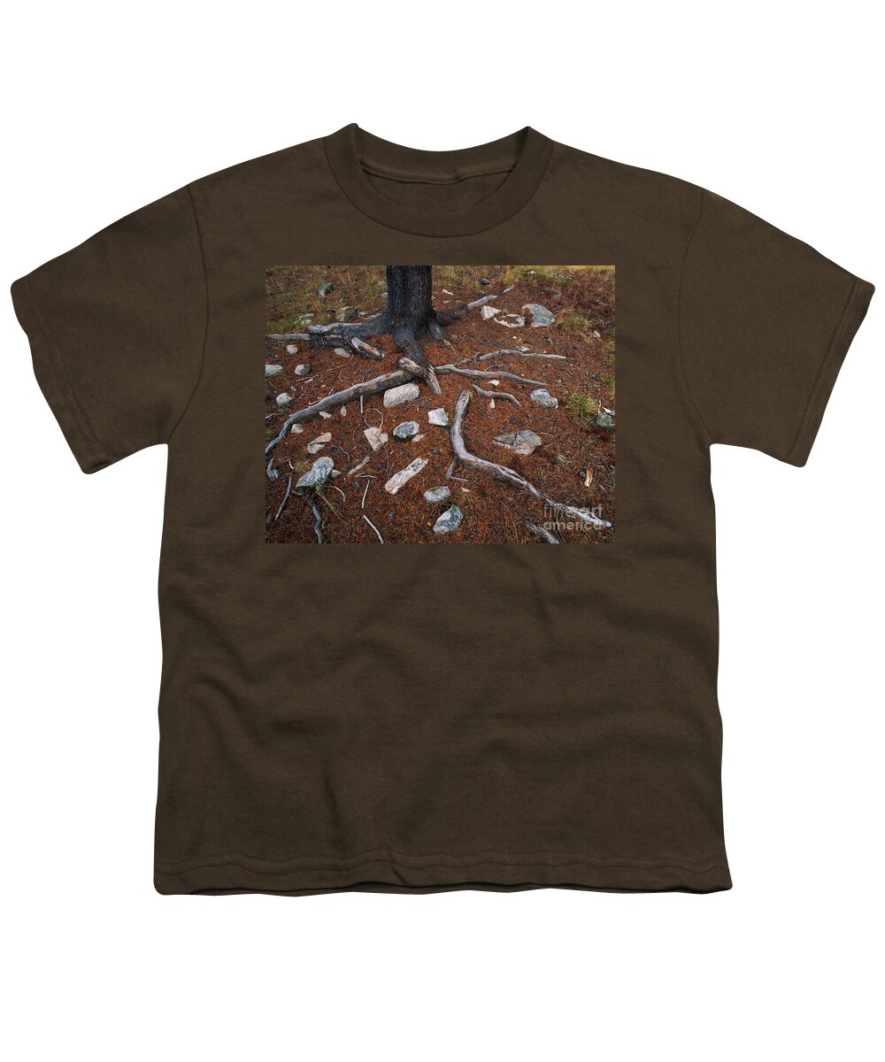 Tree Youth T-Shirt featuring the photograph Tree Trunk, Roots And Rocks #1 by Tracy Knauer