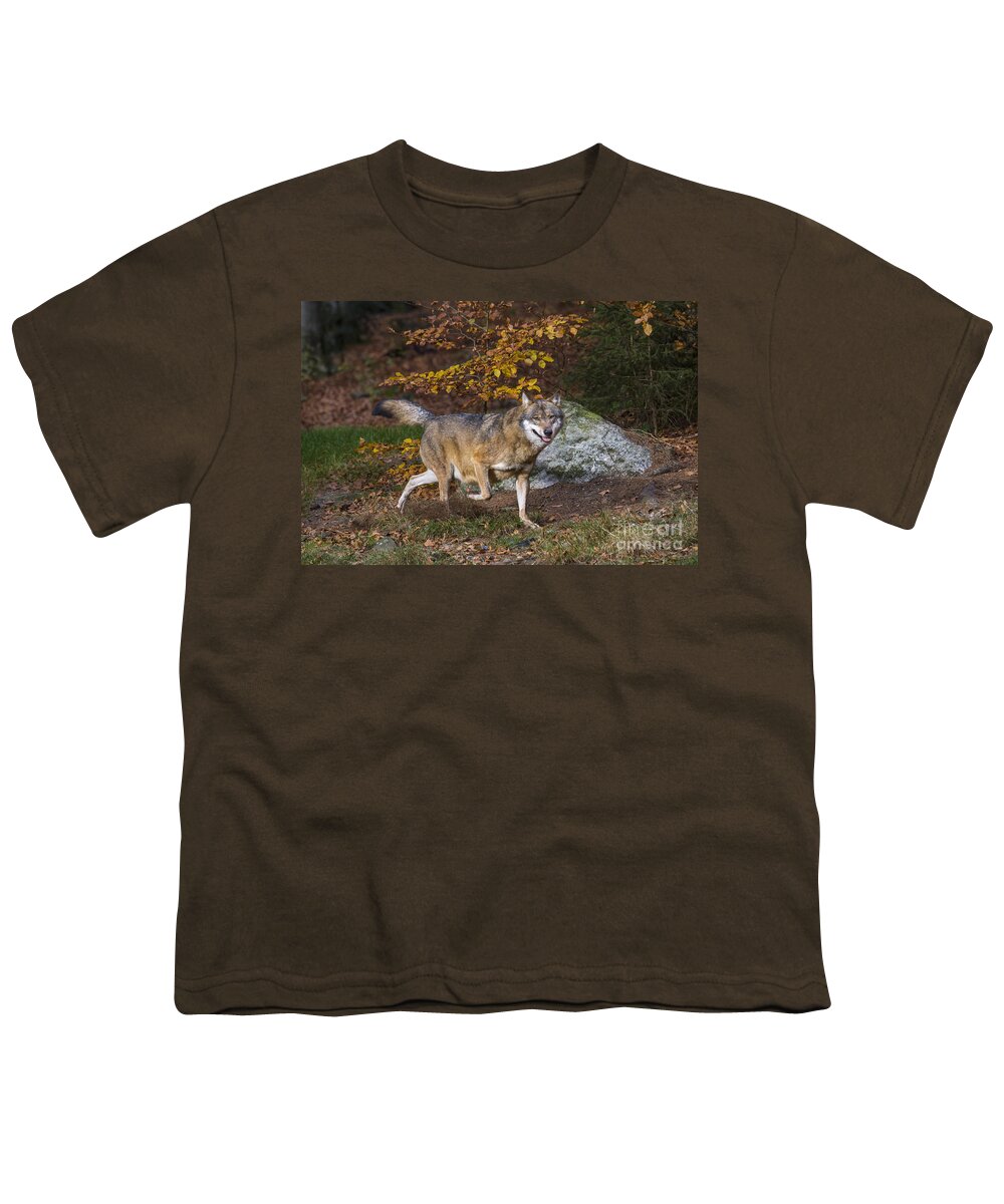 Europe Youth T-Shirt featuring the photograph 141114p056 by Arterra Picture Library