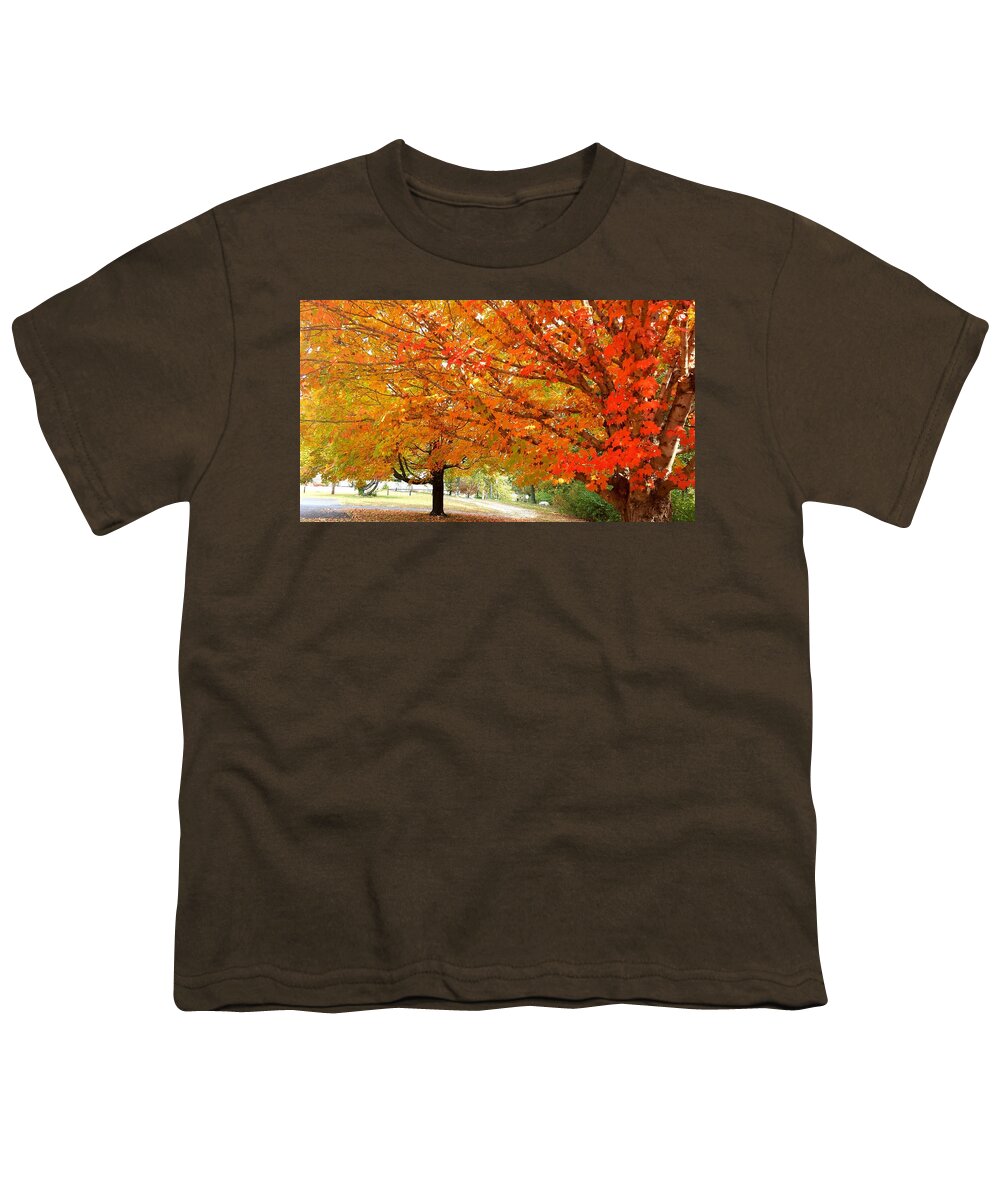 Fall Youth T-Shirt featuring the photograph Fall Explosion of Color #17 by Kenny Glover