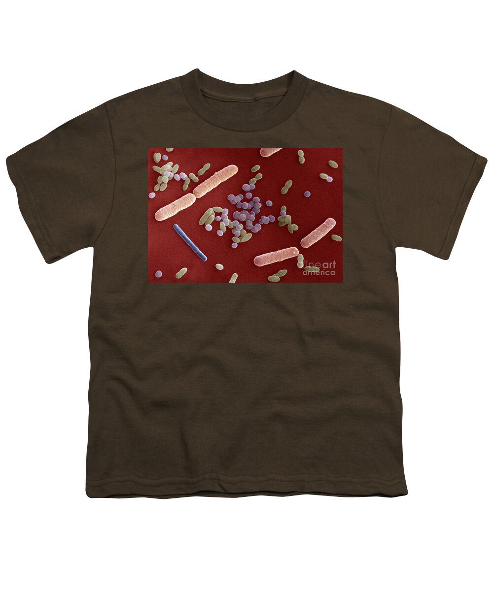 Sem Youth T-Shirt featuring the photograph Species Of Bacteria #6 by David M Phillips