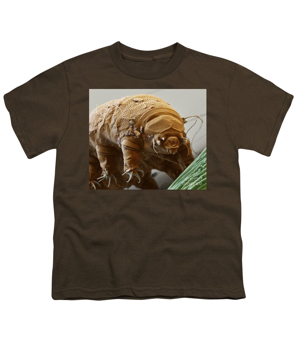 Water Bear Youth T-Shirt featuring the photograph Water Bear #2 by Eye of Science and Science Source