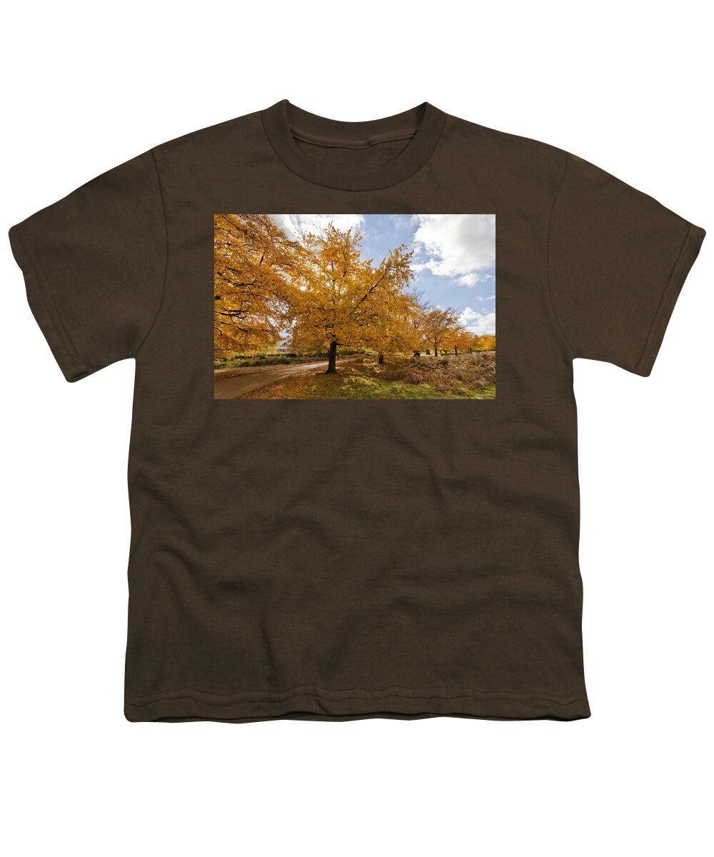 Richmond Park Youth T-Shirt featuring the photograph Autumn Leaves #3 by Maj Seda