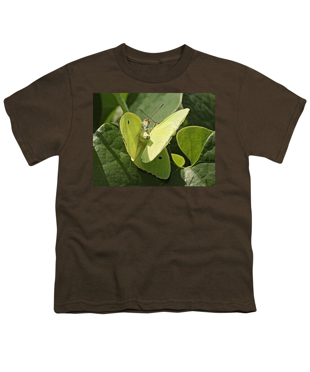Butterfuly Youth T-Shirt featuring the photograph Butterfly Love #3 by Dart Humeston