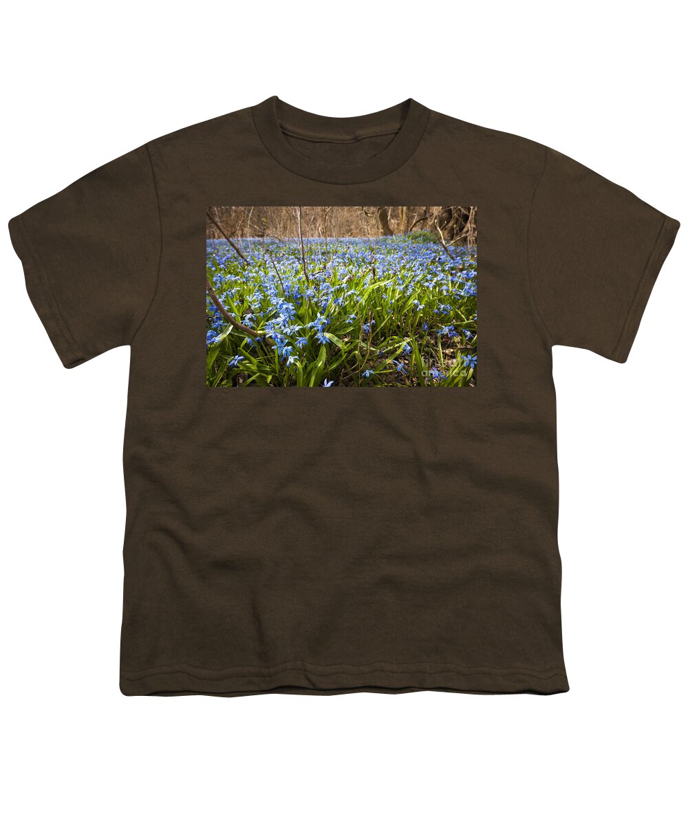 Flowers Youth T-Shirt featuring the photograph Spring blue flowers 3 by Elena Elisseeva