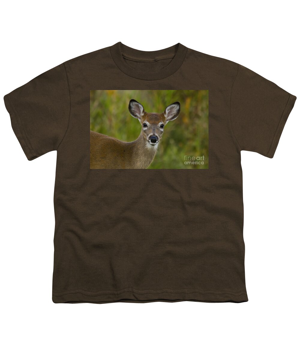 Capreolinae Youth T-Shirt featuring the photograph White-tailed Doe #31 by Linda Freshwaters Arndt