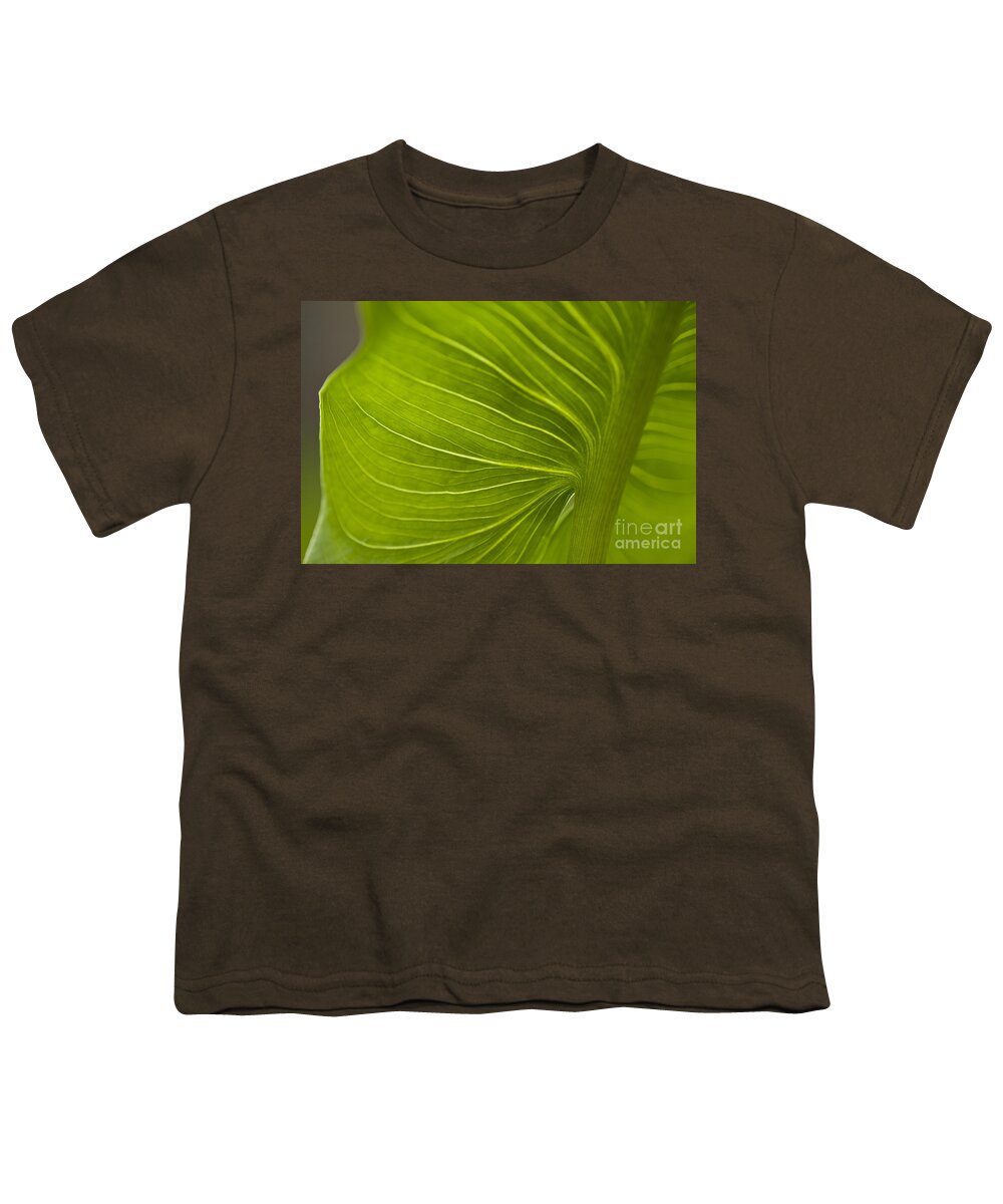Beauty Youth T-Shirt featuring the photograph Calla Lily stem close up #5 by Jim Corwin