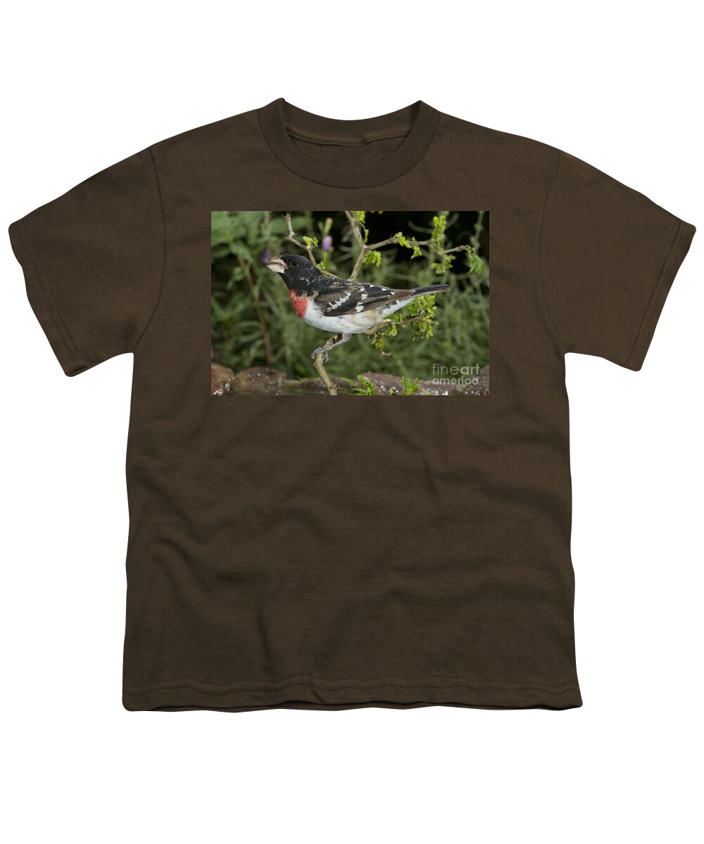 Rose-breasted Grosbeak Youth T-Shirt featuring the photograph Rose-breasted Grosbeak #5 by Anthony Mercieca