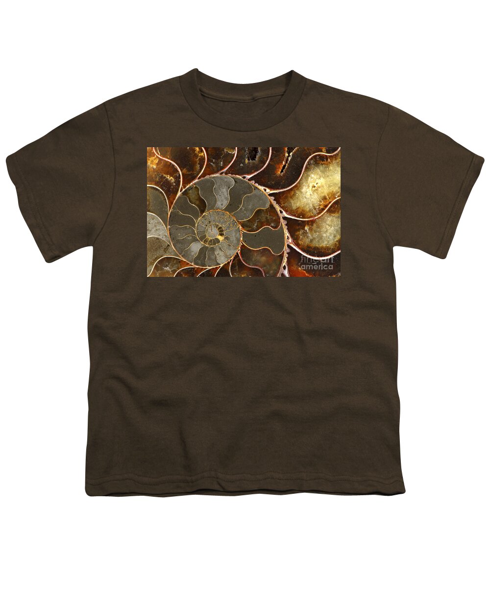Shell Youth T-Shirt featuring the photograph Ammolite by Elena Elisseeva